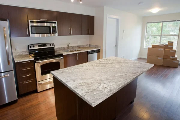 Andino White Granite - Image 2