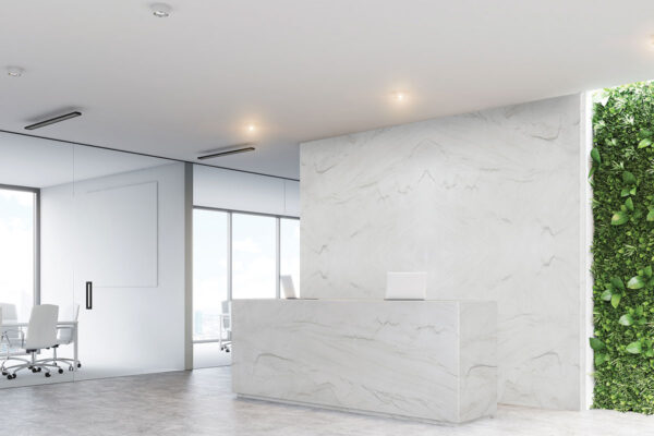 Zermat Quartzite - Image 4